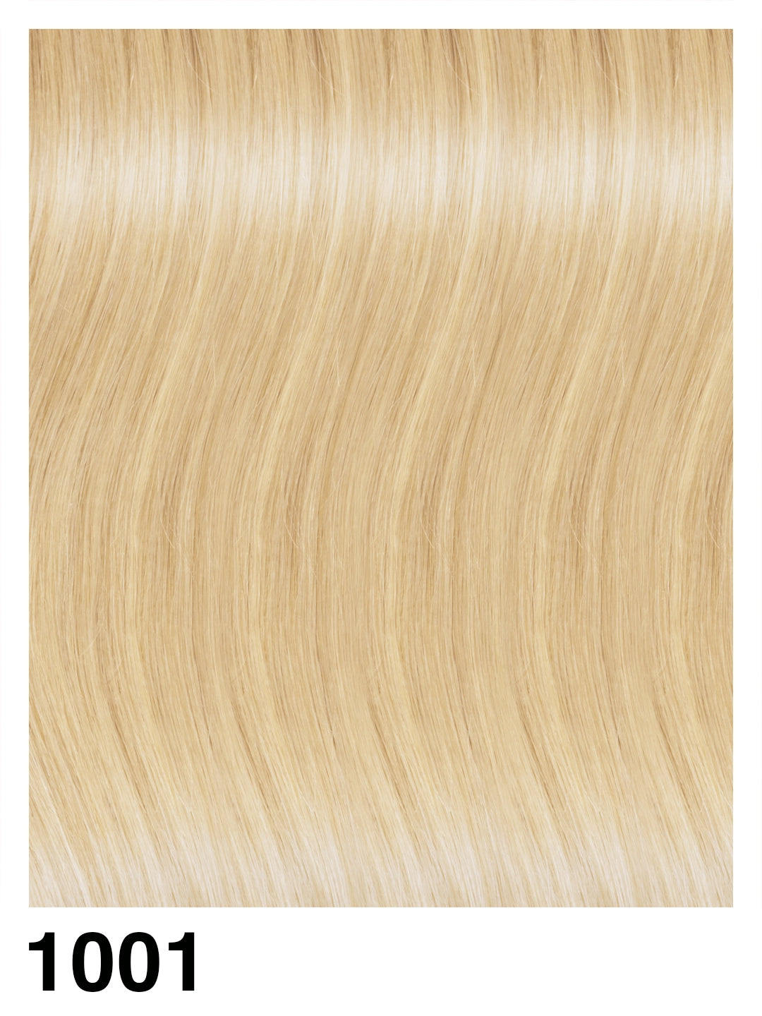 EXTENCLIP/C Extension con clip