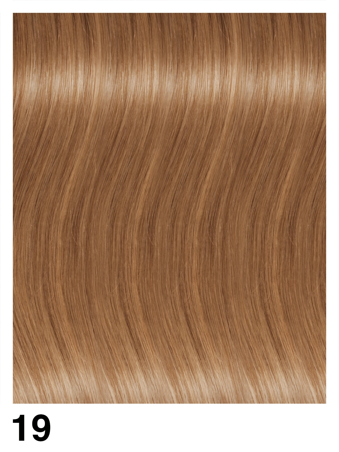 EXTENCLIP/C Extension con clip
