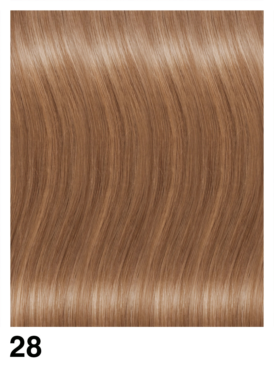 EXTENCLIP/C Extension con clip