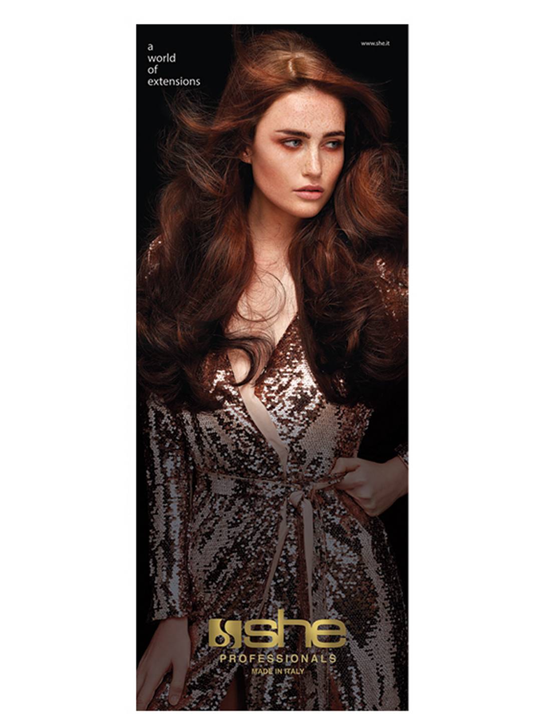 FQB100 Poster SHE su tela