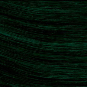 ONE CLIP Extension con clip