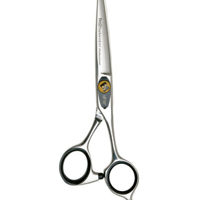 FC64 Forbici professionali 6,5"